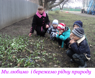 садок3