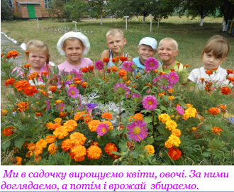 садок6